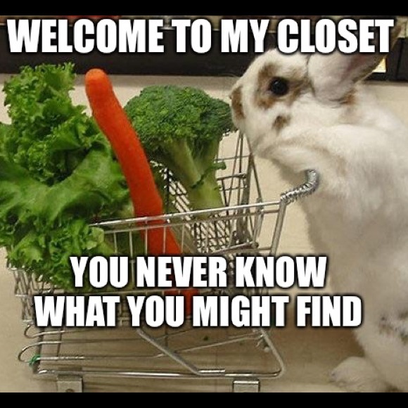 INFO ABOUT CLOSET - Picture 2 of 4